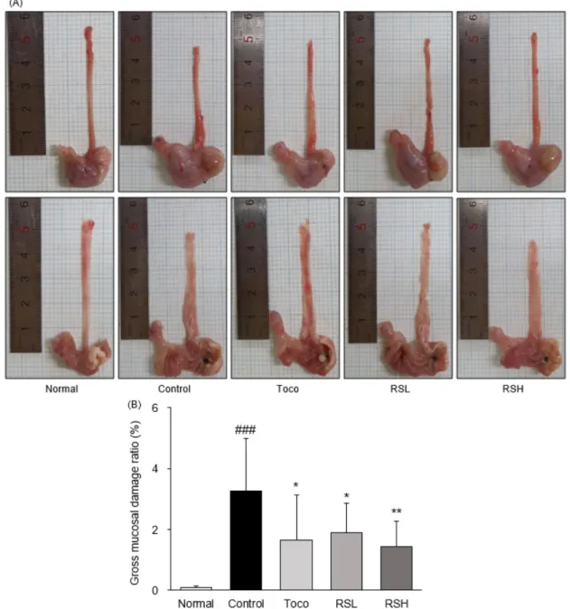 Fig. 1. Surgical induction of chronic acid reflux esophagitis. A representative gross image; (A), esophageal ulcer ratio; (B)
