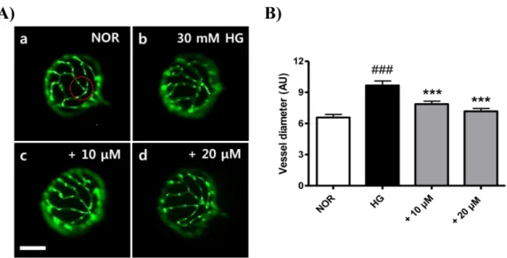 Fig. 2. Effect of C. orthacantha on HG-induced hyaloid-retinal vessel dilation in larval zebrafish