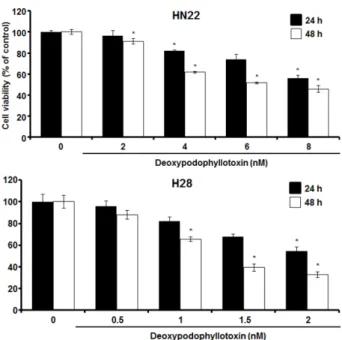 Fig. 5. Effects of deoxypodophyllotoxin on OSCC and MPM cells viability. Cell viability of HN22 and H28 cells treated with deoxypodophyllotoxin (HN22; 2, 4, 6 and 8 nM, H28; 0.5, 1, 1.5 and 2 nM) for 48 h, which was measured using MTS assay kits.