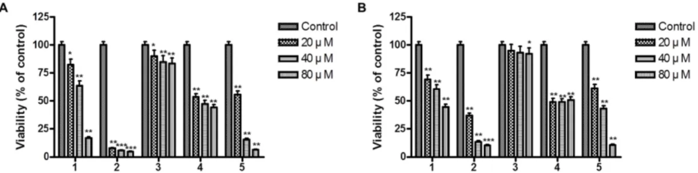 Fig. 2. Cytotoxic effects of compounds 1–5 on RAW264.7 (A) and BV2 cells (B). Cells were treated with five compounds (20–