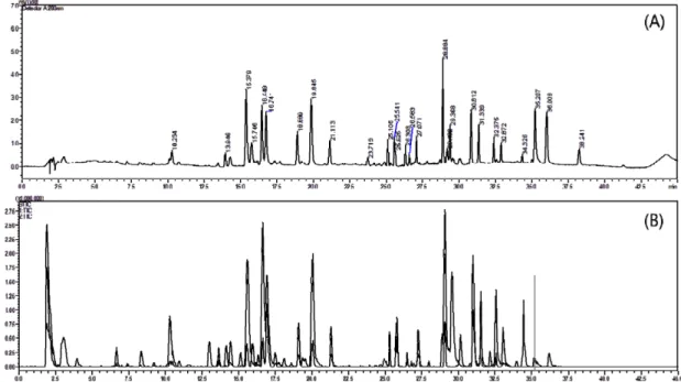 Fig. 1. LC/MS chromatogram of Cassia tora L. seed (A: UV chromatogram, B: total ion chromatogram).