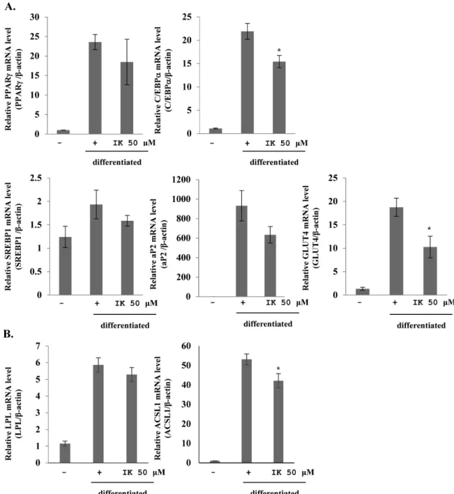 Fig. 3. Inhibitory effects of IK on adipogenesis mRNA expression in 3T3-L1. Expression level of adipocyte specific genes(C/EBPα, PPARγ, SREBP1, aP2, GLUT4, LPL and ACSL1) were measured by real-time PCR