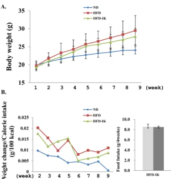 Fig. 4. Effect of IK on the mice weight. Male C57BL/6J mice were fed a normal or 45% high-fat diet without IK or with IK treatment during 8 weeks