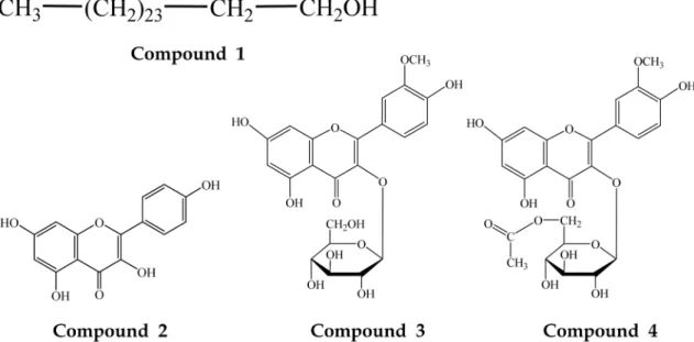 Fig. 1. Structures of compounds isolated from EtOAc soluble fraction of the aerial parts of  Brassica juncea .