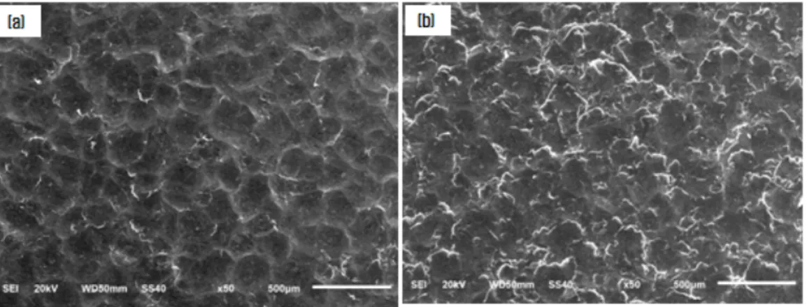 Fig. 10 SEM observations of over-peened surfaces (250 s) 선정된 최적조건에 따라 항공 산업에서 널리 사용하는 재료인 Aluminum 7050 재료에 숏 피닝 처리한 후 압축 잔류응력과 재료 표면을 관찰하였다