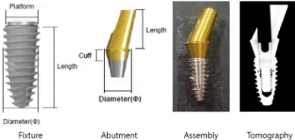 Fig. 1  Fixture-abutment assemblies of the test sample를 늘린 턱뼈에 생체 적합적인 임플란트 본체를 심어서 자연치의 기능을 회복시켜주는 치과 치료 시술이다