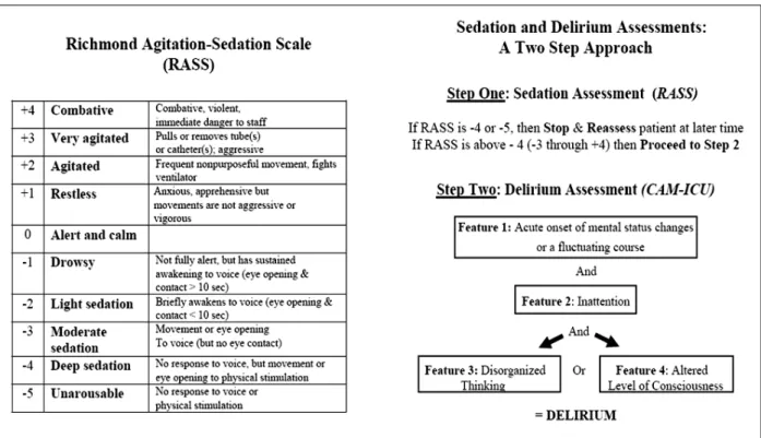 Fig. 1. Two step approach to detect the delirium in ICU(adapted from Ely EW. The Confusion Assessment Method for the ICU training manual