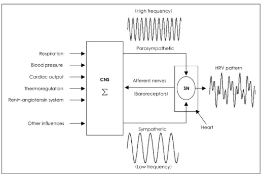 Fig. 2. The mechanism of generating HRV signals. 
