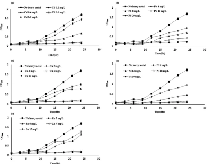 Fig. 1.  Growth of Pseudomonas taeanensis  in medium containing single heavy metal; (a) Cd, (b) Cu, (c) Zn, (d) Pb and  (e) Ni