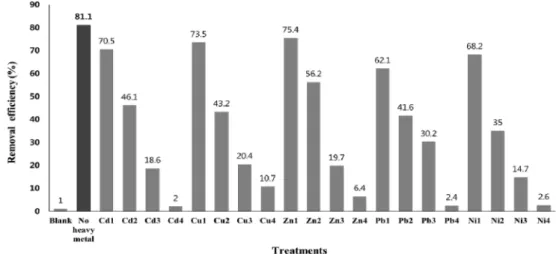 Fig. 2.  Removal efficiencies of P by Pseudomonas taeanensis  in relation to single heavy metals concentrations