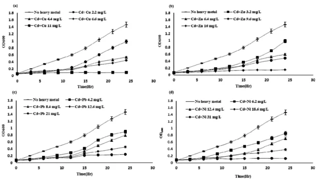 Fig. 3.  Growth of Pseudomonas taeanensis  in medium containing binary heavy metals; (a) Cd + Cu, (b) Cd + Zn, (c) Cd +  Pb, and (d) Cd + Ni