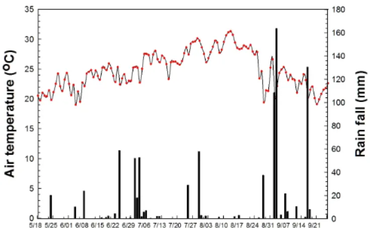 Fig. 1. Daily mean air temperature and precipitation. The bar graph represents the precipitation during the experimental period.