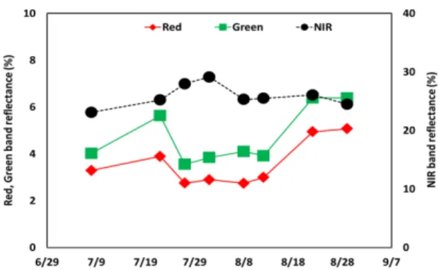 Fig. 5. Temporal variations of UAV images reflectance.