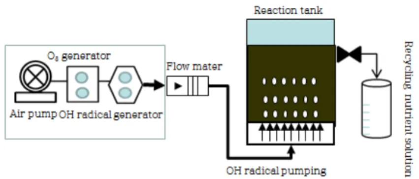 Fig. 3. Schematic diagram of hydroxy radical reactor system for the nutrient solution sterilization.