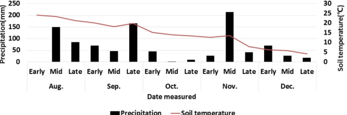 Fig. 1. Soil temperature and rainfalls during potatoes cultivation.