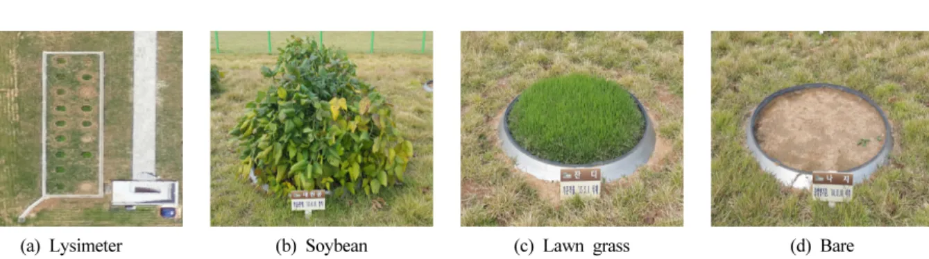 Fig. 6. The relationship between image raw DN and reflectance of calibration tarp on 12th March 2015.