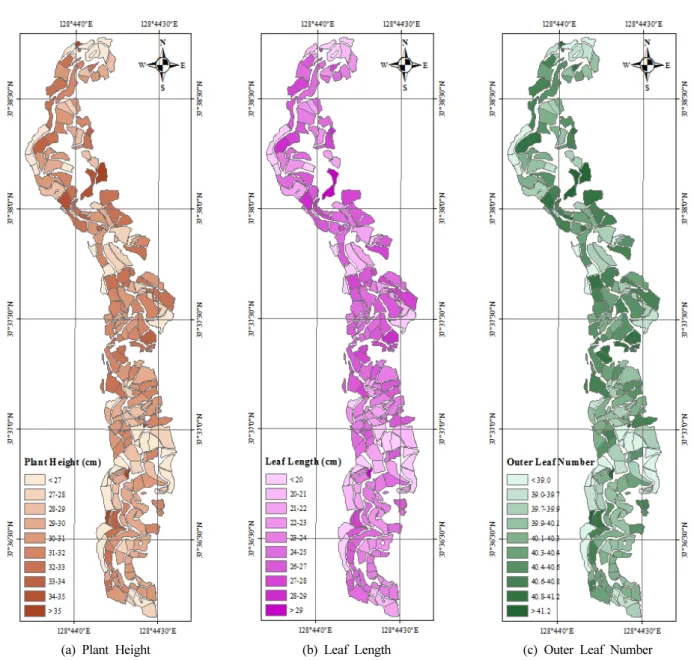 Fig. 7. Scatter plot of highland Kimchi cabbage growth model.
