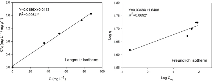 Fig. 2. Freundlich and Langmuir isotherm equations of Pb using reed biochar.
