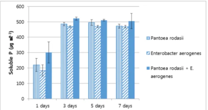 Fig. 2. Effect of single and co-inoculation of Pantoea rodasii  PSB-11 and Enterobacter aerogenes PSB-12 on phosphate  solubilization