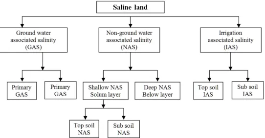 Table 2. Estimate of areas affected by secondary salinization  in irrigated lands around the globe.