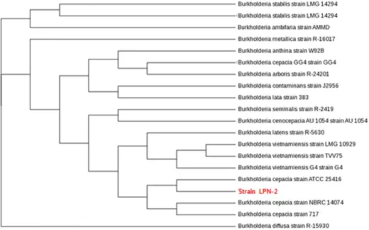 Fig. 2. Phylogenetic trees estimated from 16s rDNA comparison and Biology analysis of the strain LPN-2