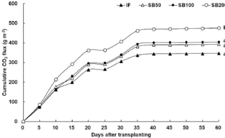 Fig. 2. Change of soil respiration in tested soil with different application level of sesame straw biochar