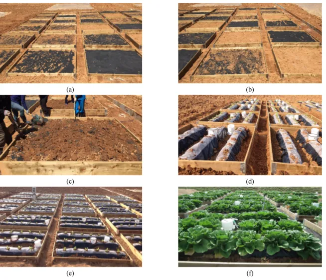 Fig. 1. Description of study area (a,b: The experimental field, c: Soil and mixed materials, d: plastic mulching work, e,f: Gas  chamber setup for greenhouse gas capture).