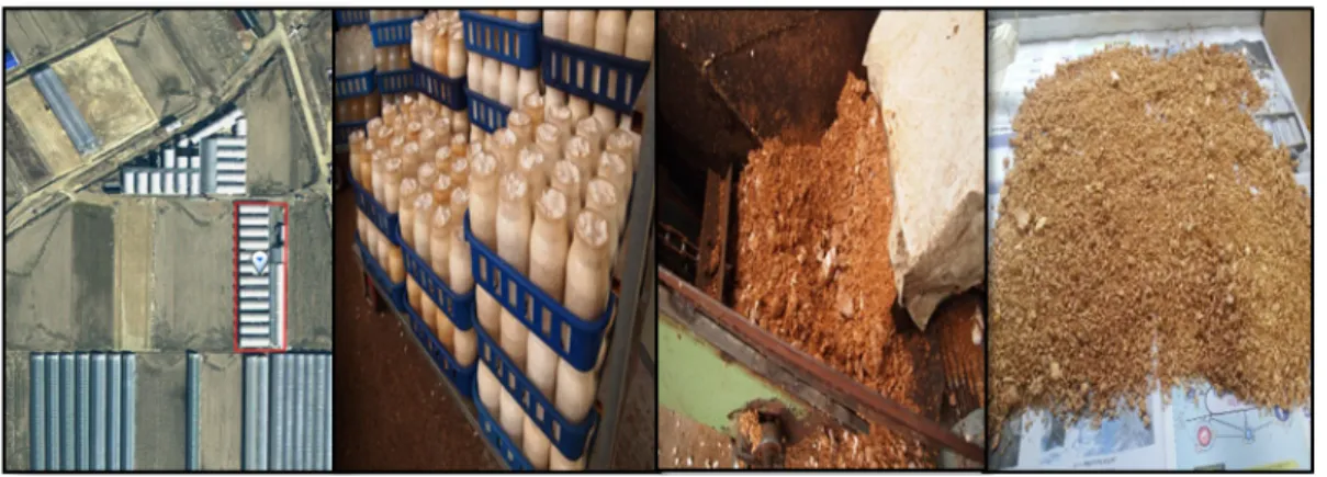 Fig. 1. Raw materials of spent mushroom media (SMM).Introduction우리  사회는  급속한  산업화와  경제발전이  이루어졌다