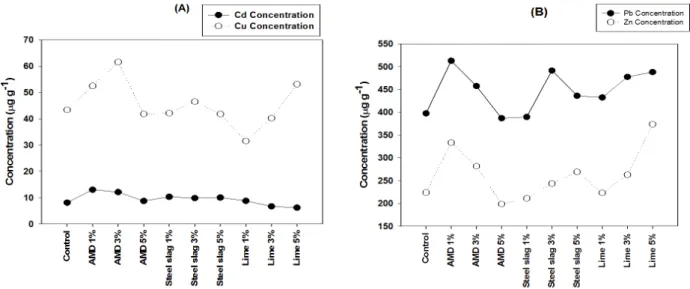 Fig. 2. Concentration of heavy metals in earthworm (A) Cd and Cu, (B) Pb and Zn. 높은 치사율과 낮은 생체량을 보인 것은 AMD슬러지의 중금 속 함량이 다른 안정화제에 비해 높은 농도에 의한 것으로  사료된다 (Kim et al., 2012)