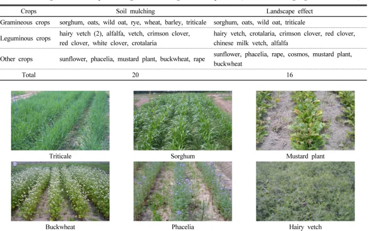 Table 5. Selected green manure crops according to soil mulching and landscape effect (standard: mulching degree 50% and more).