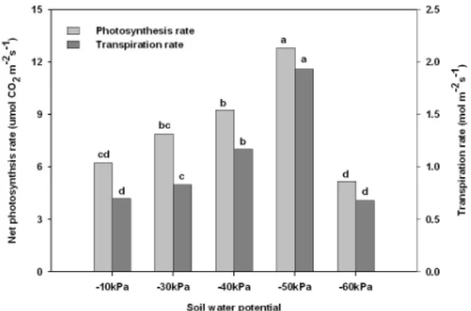 Table 2. Effect of soil water potential on photosynthetic  parameters in  Schizandra chinensis Baillon