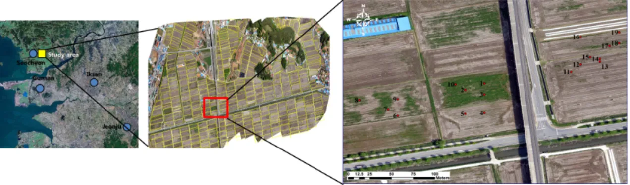 Fig. 1. Location of the study area and points of field survey in Seocheon paddy fields.Introduction녹비작물 (풋거름작물)은 푸를 때 베어 토양에 넣어주는 두과 (콩과), 화본과 등의 작물로서 (Park et al., 2008) 질소공급, 잡초억제, 토양침식 경감, 토양 물리성 개선 등 양분공급 및 토양개량 효과가 높아 친환경농업에 활용되고 있다 (Jeon et al., 2008