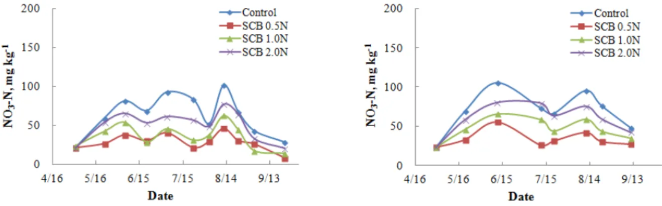 Fig. 4. Changes of nitrate N in topsoil as affected by the application of SCB liquid fertilizer for red pepper in 2013 (left) and 2014  (right).