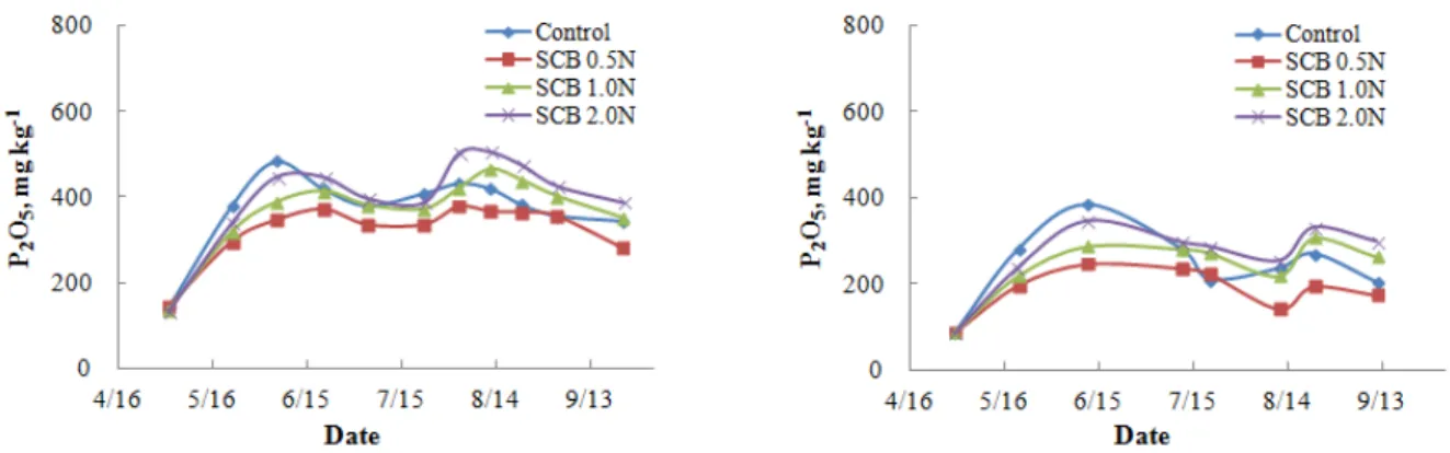 Fig. 5. Changes of avail. P 2 O 5  in topsoil as affected by the application of SCB liquid fertilizer for red pepper in 2013 (left) and  2014 (right).