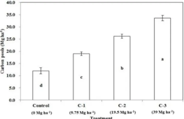 Fig. 2. Carbon pools of the soils after 133 days of the treatments.