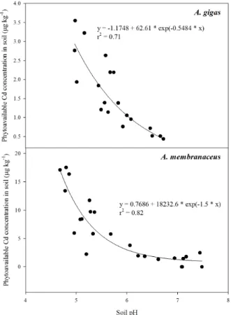 Fig. 2. Heavy metal concentrations in the roots of the medicinal plants collected.