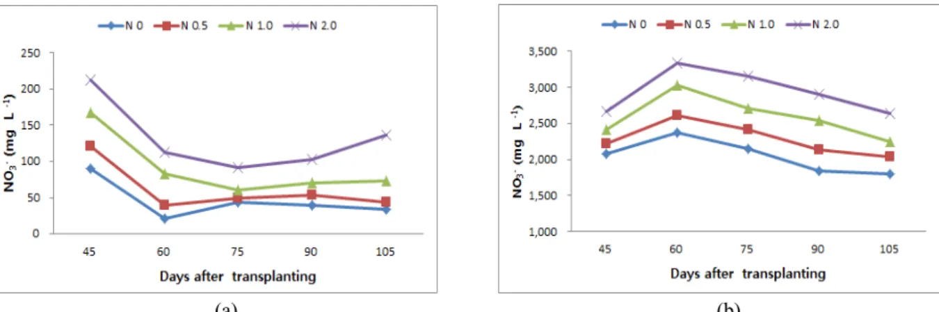Fig. 3. Changes of NO 3 -  concentration for soil solution and leaf petiole juice according to days after transplanting during the  cucumber semi-forcing cultivation