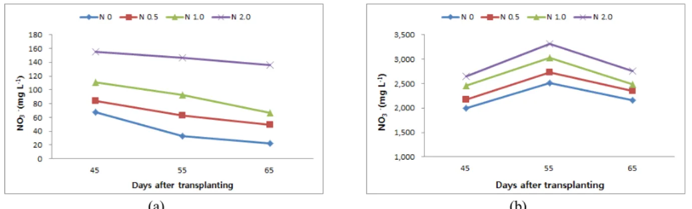 Fig. 6. Changes of NO 3 -  concentration for soil solution and leaf petiole juice according to days after transplanting during the  cucumber retarding cultivation