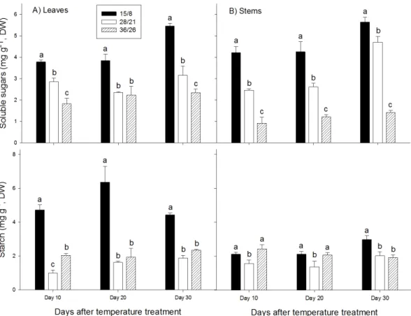 Fig. 3. Effect of temperature stresses on the accumulation of soluble sugars and starch in the shoot of tomato plants grown under 1/2  strength Hoagland’s nutrient solution at 30 DAT (n=3)