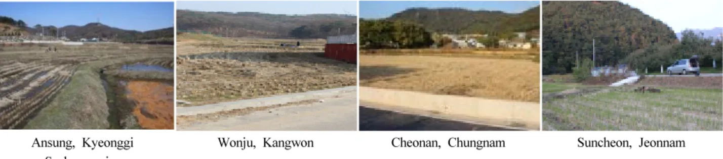 Fig. 1. Topography distribution and morphological characteristics of the soil containing poorly drainage.