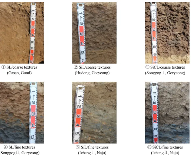Table 2. Morphological characteristics on soil profiles at each sites.