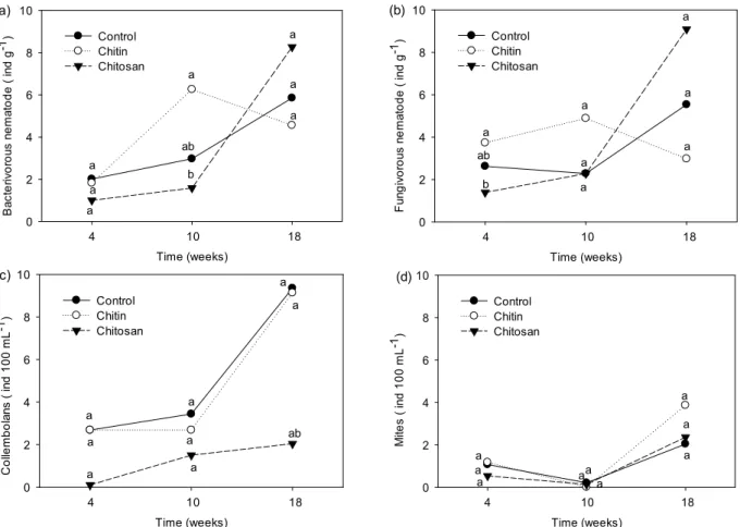 Fig. 2. Changes in abundances of mesofauna as affected by chitin and chitosan in the microcosm experiment
