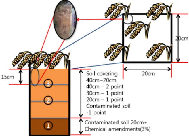 Fig. 1. Schematic figure of column experiment with varied  soil covering depth
