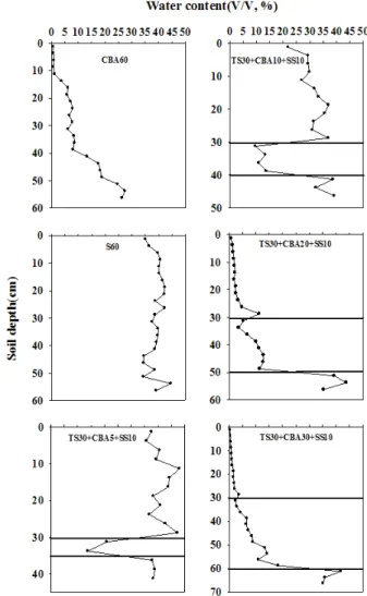 Table 7. Overall rate of capillary rise of wetting front in soil  columns.