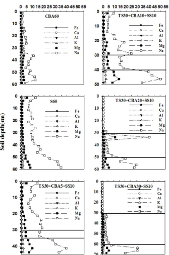 Fig. 3. Distribution of water-soluble cations in soil columns  made of coal bottom ash 60 cm (CBA60),  soil 60 cm (S60),  topsoil 30 cm + CBA 5 cm + subsurface soil 10 cm (TS30+ 