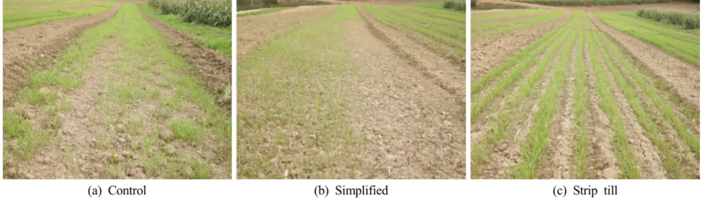 Fig. 5. Seeding rates by tractor speed.
