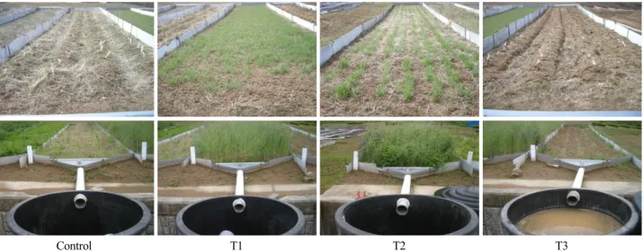 Fig. 7. Lysimeter catchment to collect runoff and soil loss with the different covering methods