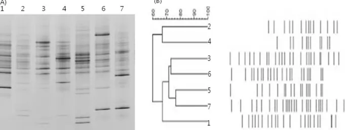 Fig. 3. (A) DGGE profile of bacterial 16S rRNA gene fragments of soil samples under different fertilization treatments and (B)  cluster analysis of DGGE banding patterns