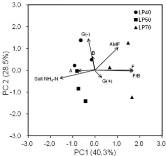 Fig. 1. Ratio of fatty acid cy19:0 to 18:1w7c of different  forest soils as affected by light penetration