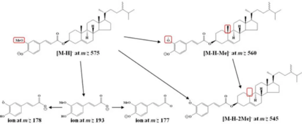 Fig. 2. Basically proposed fragment ion pattern of campesteryl ferulate in negative ion mode of ESI-MS (Fang et al., 2003).